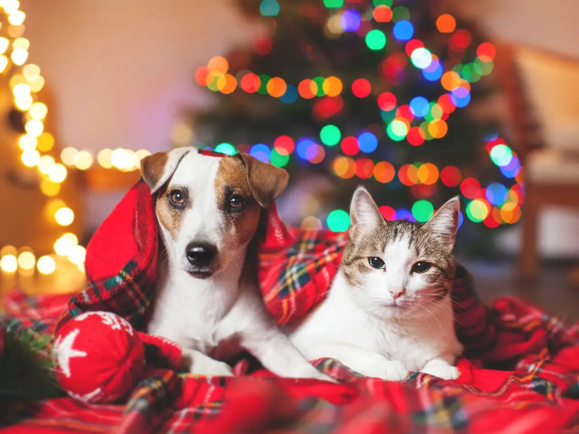 Xmas items