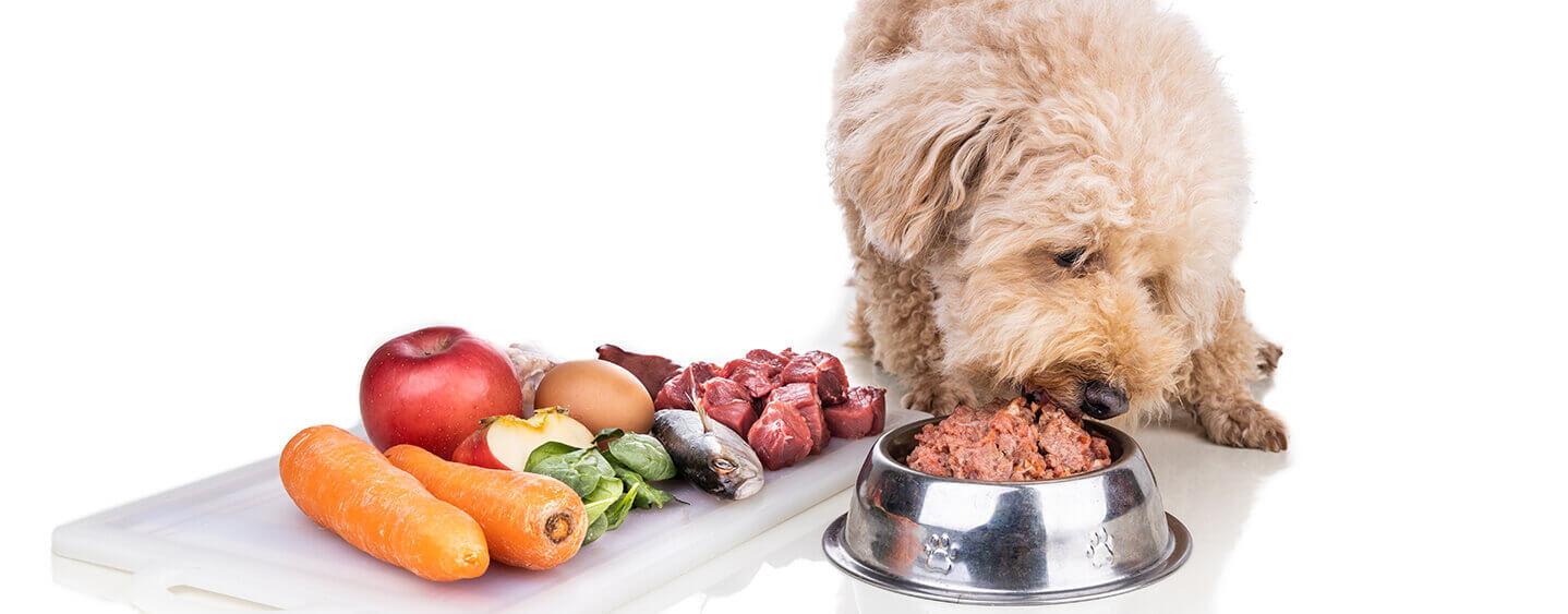 Dog Raw Food