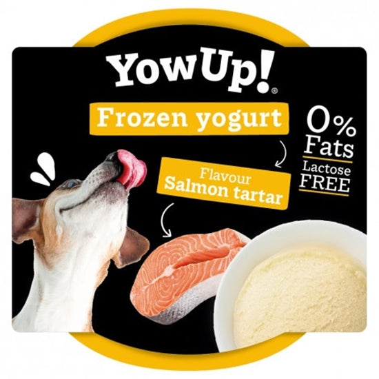 Yogurt Can You Give Dogs Frozen Bones Yow Up Dog Salmon Tartare