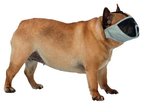 Muzzle for short-nosed breeds, polyester