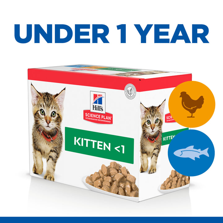 Science plan Kitten favourite Selection 12 pack pouches (12x85g)