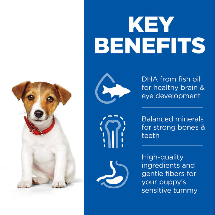 Hill's Science Plan Puppy Small & Miniature Dog Food Chicken & Turkey