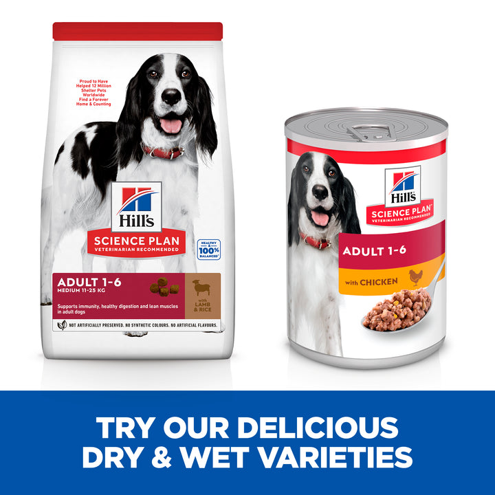 Hill's Science Plan Adult 1-6 Advanced Fitness Medium Dog Food with Lamb & Rice