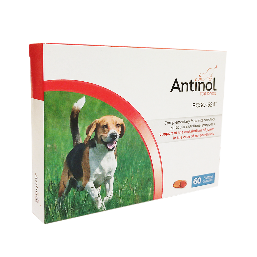 Antinol for dogs