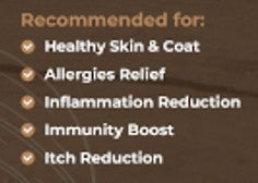 Coconut Chews - Tippy Taps 100% natural dog treats 100g