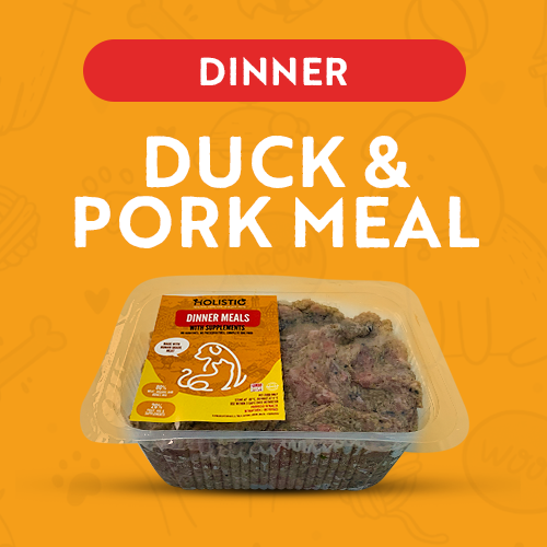 Holistic Dinner Meals - Duck & Pork Meal