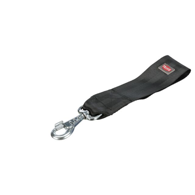 Seatbelt loop, universal