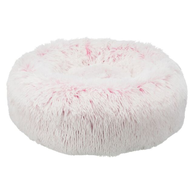 Harvey bed