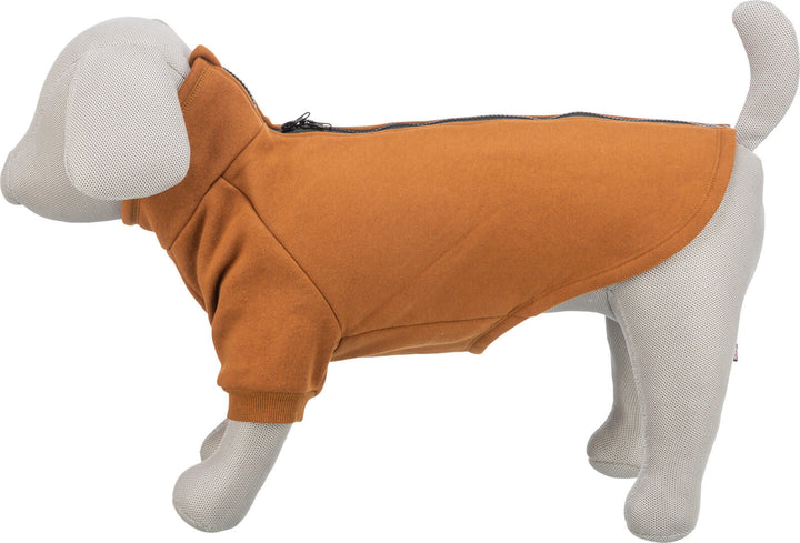 Sweatshirt CityStyle Amsterdam - Rust