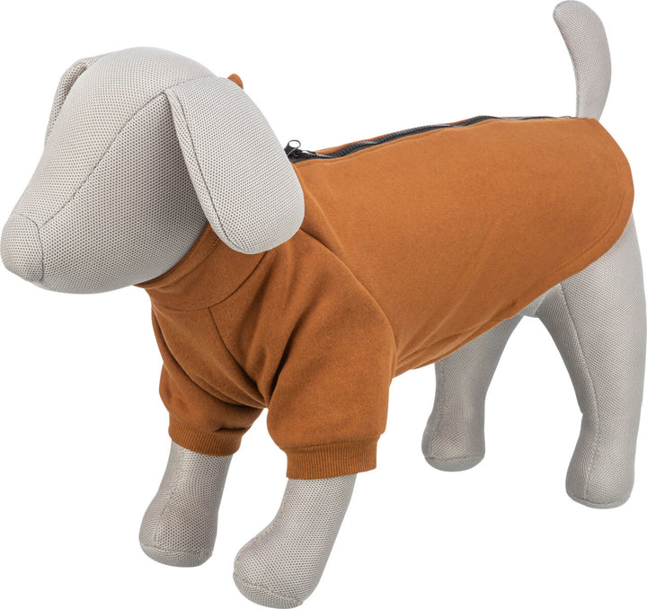 Sweatshirt CityStyle Amsterdam - Rust