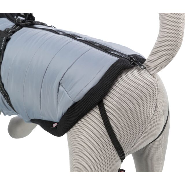 Coat Pontis with Harness