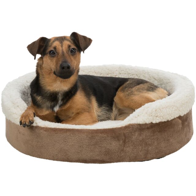 Cosma Bed