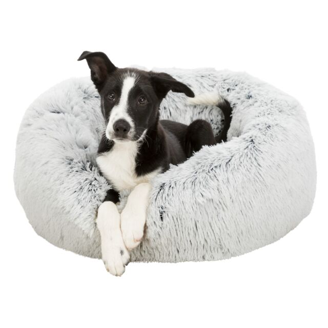 Harvey Bed