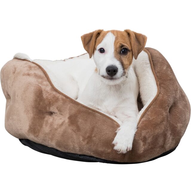 Cosma Bed