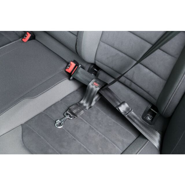 Seatbelt loop, universal