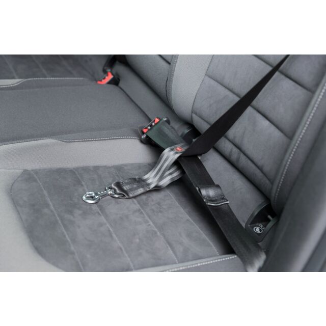 Seatbelt loop, universal