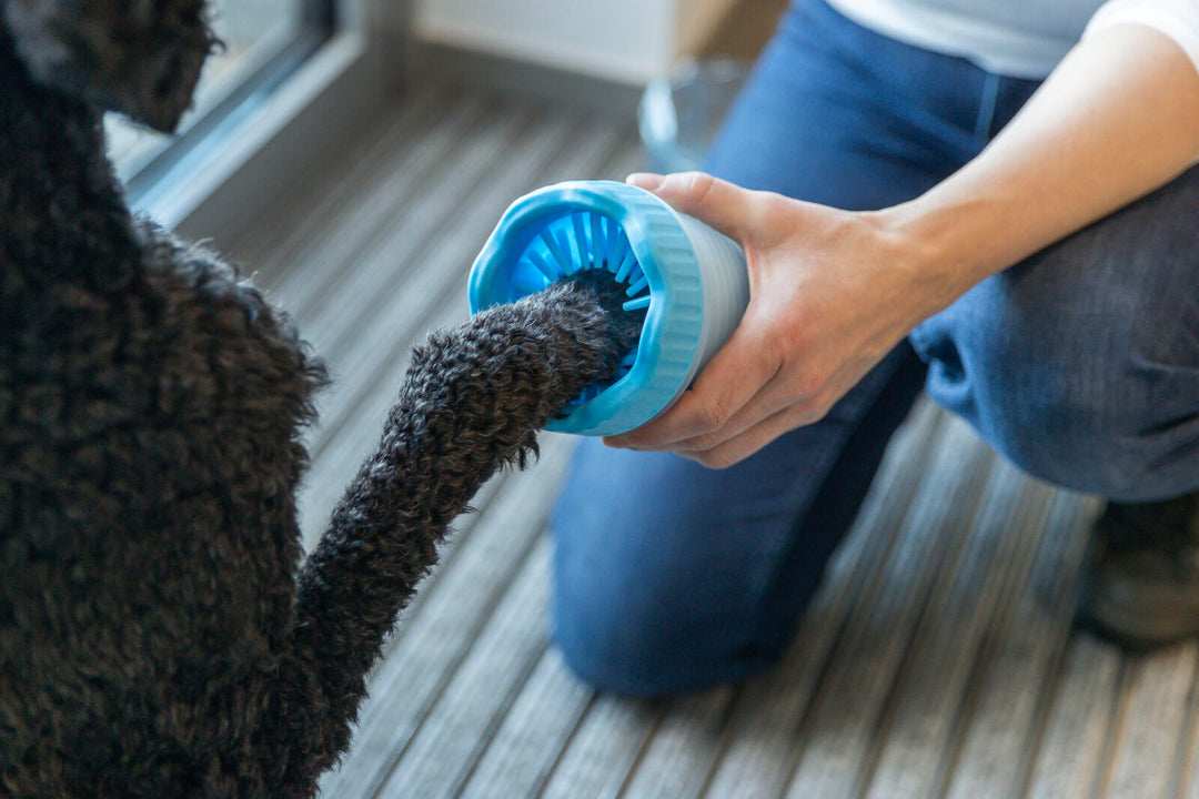 Paw Cleaner