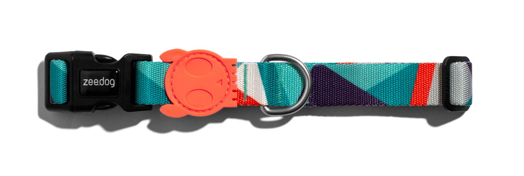 Ella - Zeedog Dog Collar