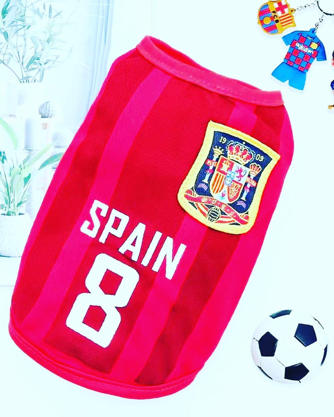 Football Jersey - Spain