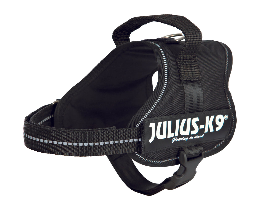 Julius-K9 Powerharness Mini-Mini/Small 40-53cm / 22mm