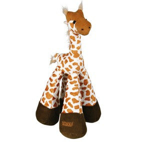 Giraffe, long-legged