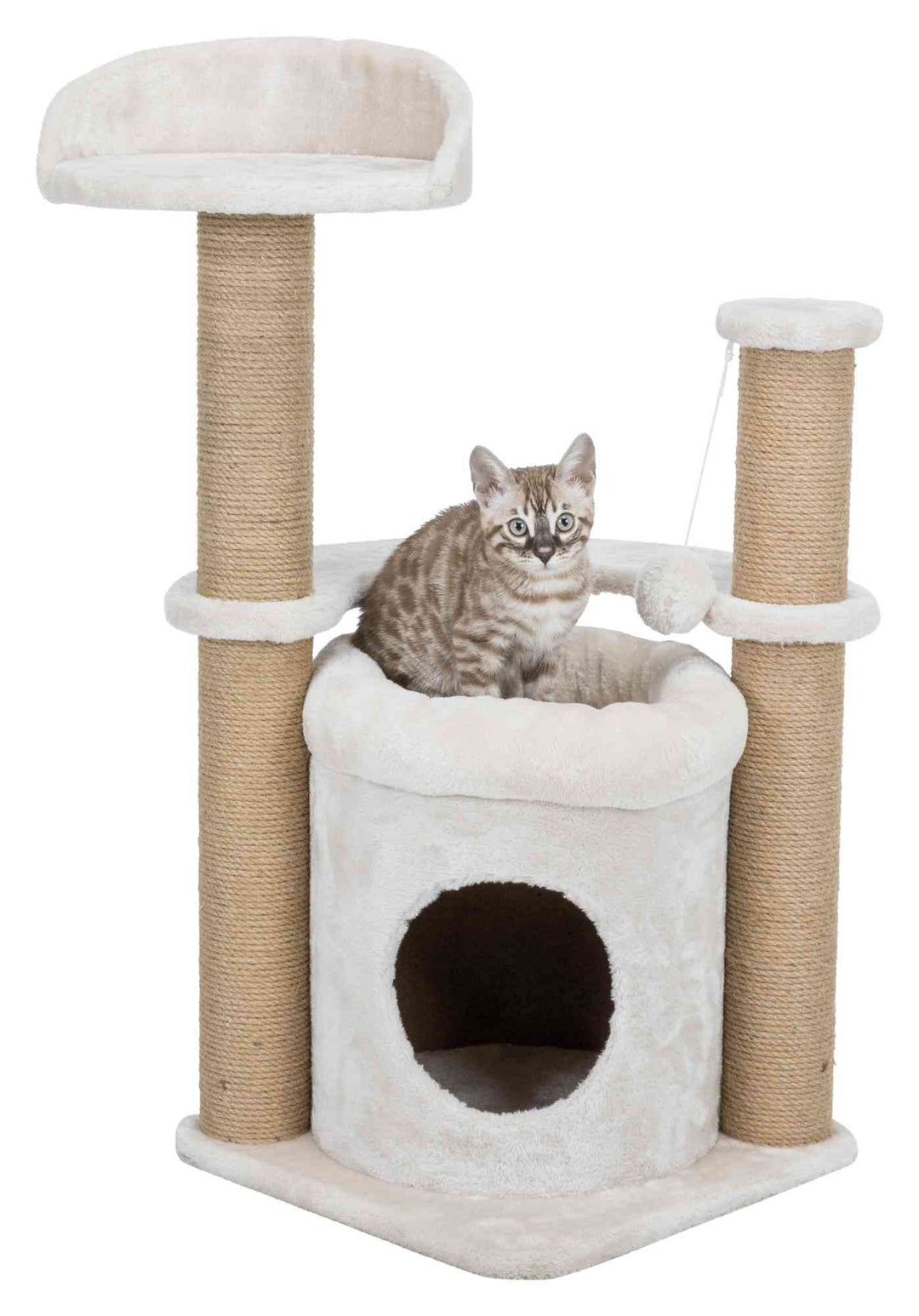 Trixie - Nayra Scratching Post