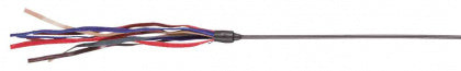 Playing Rod with leather straps, 65 cm