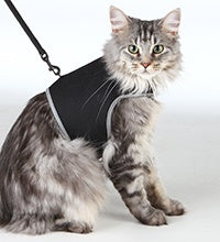 Soft Harness with Leash