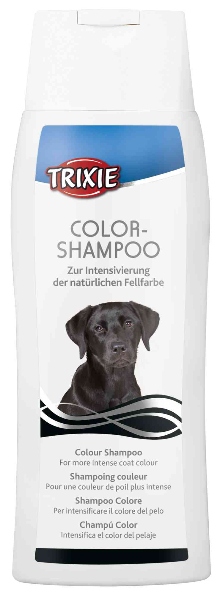 Colour Shampoo