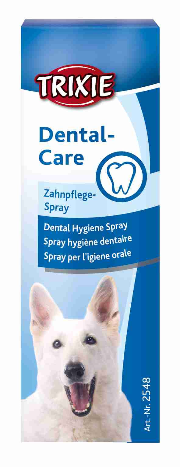 Dental Hygiene Spray –