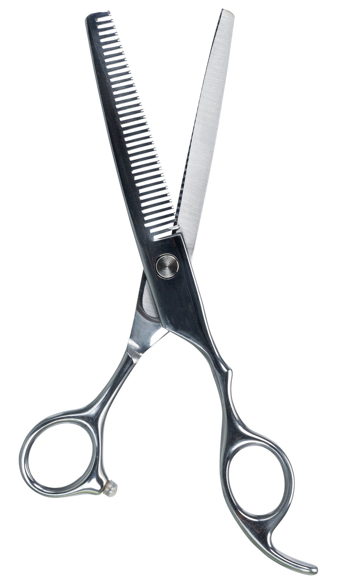 Professional Thinning Scissors