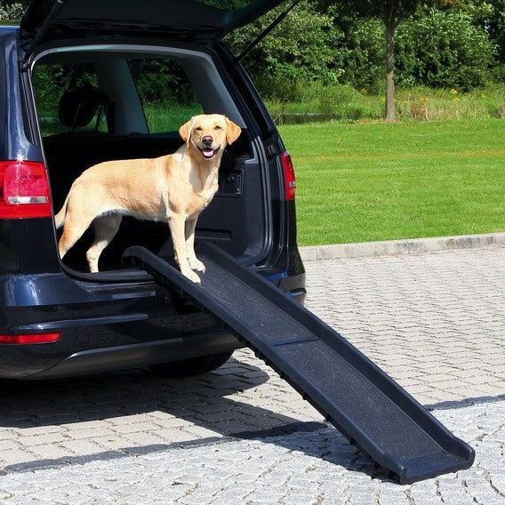 Pet ramp