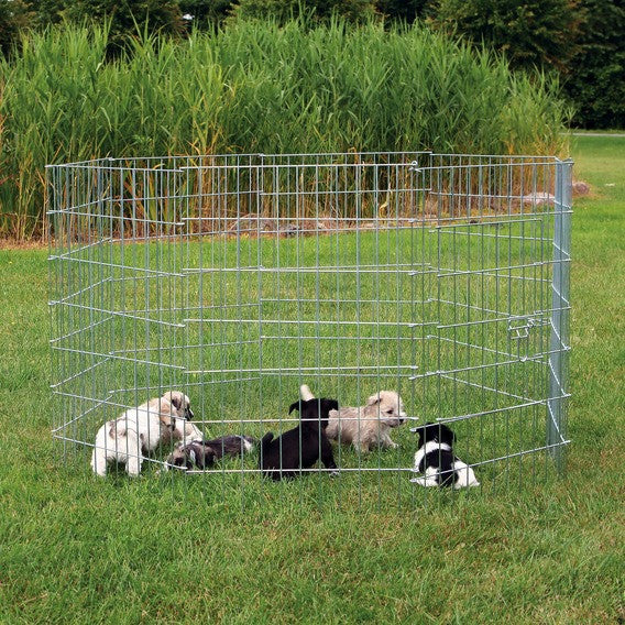 Run for small dogs