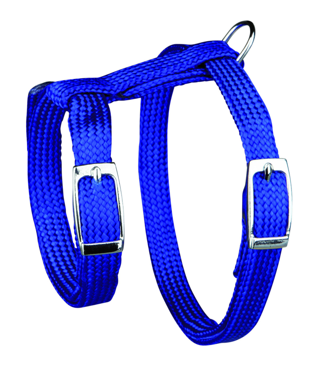 Harness with Leash, Nylon