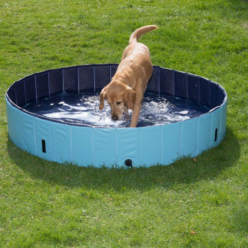 Zoofari shop dog pool