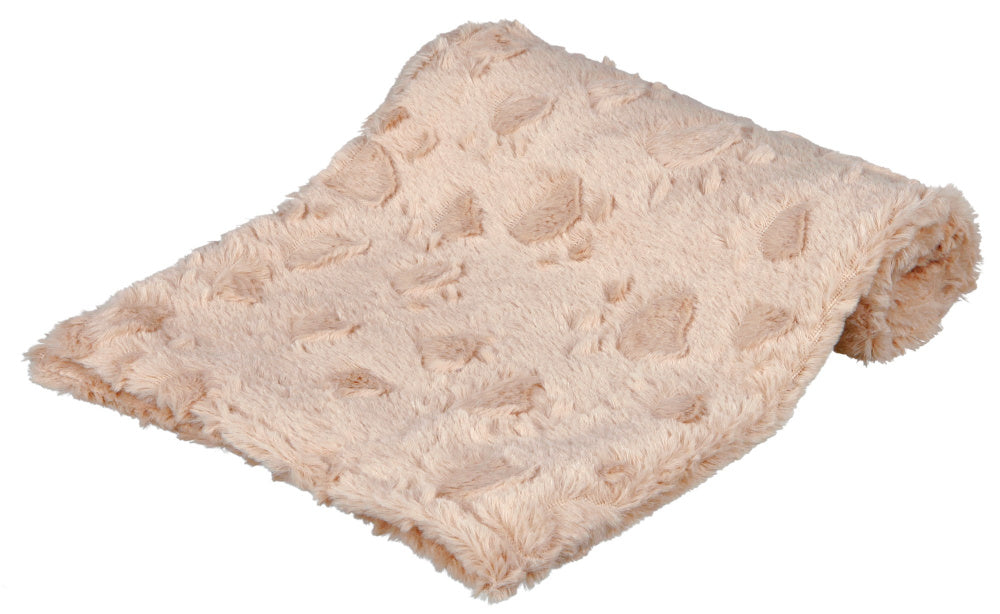 Cosy Blanket
