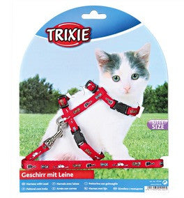 Kitten Harness with Lead