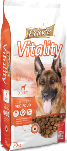 Prince VITALITY, Adult dogs