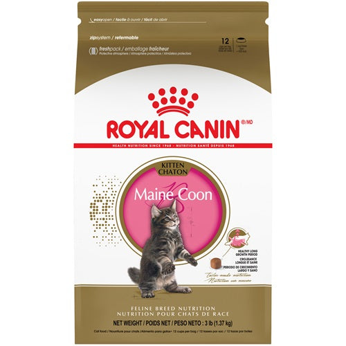 Royal Canin Maine Coon Kitten