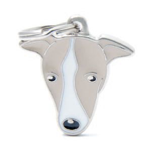 Greyhound