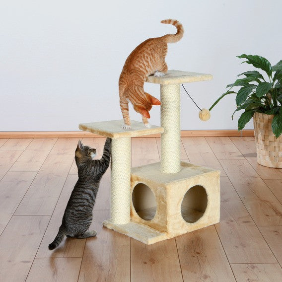 Valencia Scratching Post