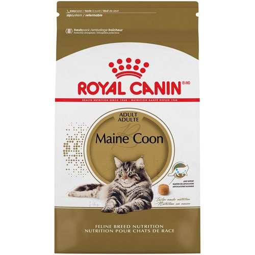 Royal Canin Maine Coon