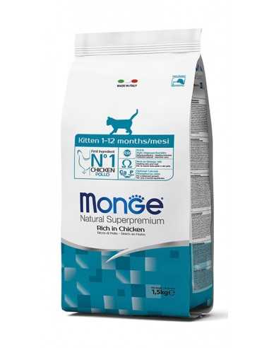 Monge Cat, Kitten Chicken