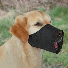 Muzzle, Polyester
