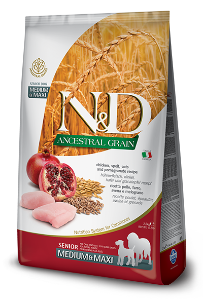 N & D Ancestral Grain Senior Med/Maxi Chicken