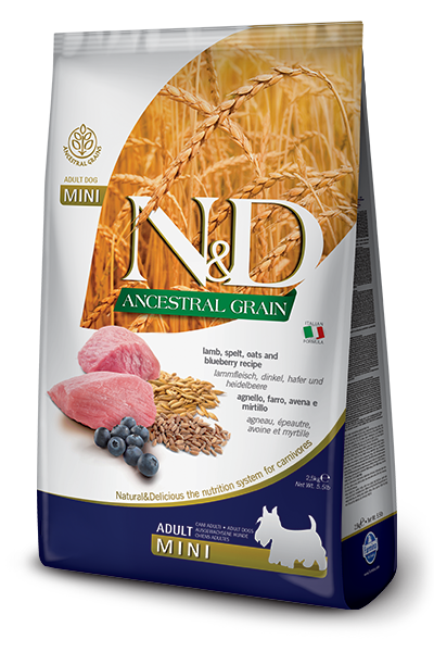 N & D Ancestral Grain  Adult Mini Lamb & Blueberry