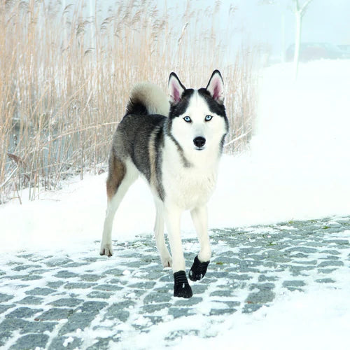 19466 Walker Active protective boots, L-XL, 2 pcs., black