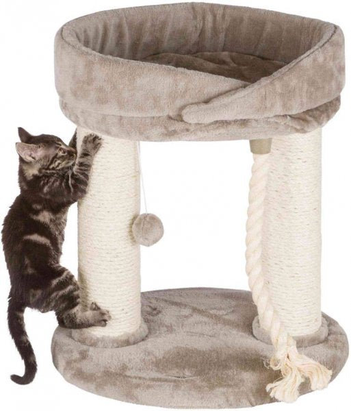 47062 - Marcela Scratching Post