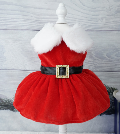 Santa Dress