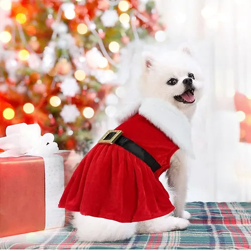 Santa Dress